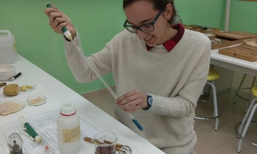 imagen del laboratorio