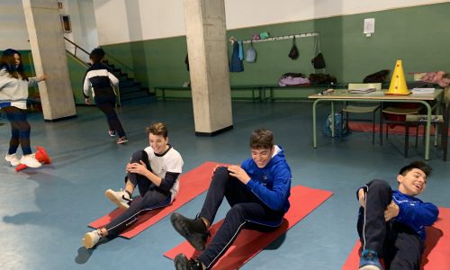 imagen del gimnasio